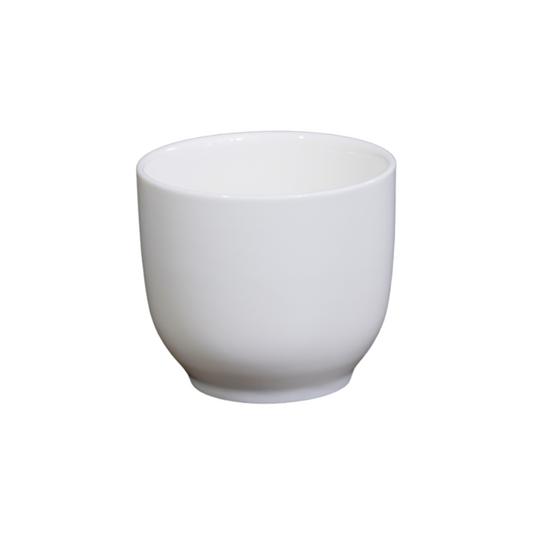 精美瓷器中國茶杯 5 盎司 | 150毫升 - 白色 - DON BELLINI # DB3030015