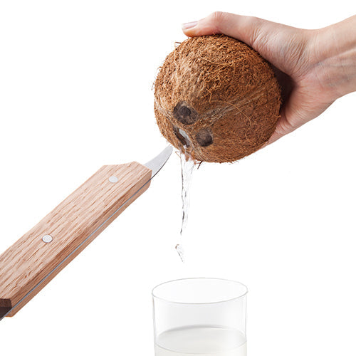 COCONUT OPENER - VACU VIN #4653560