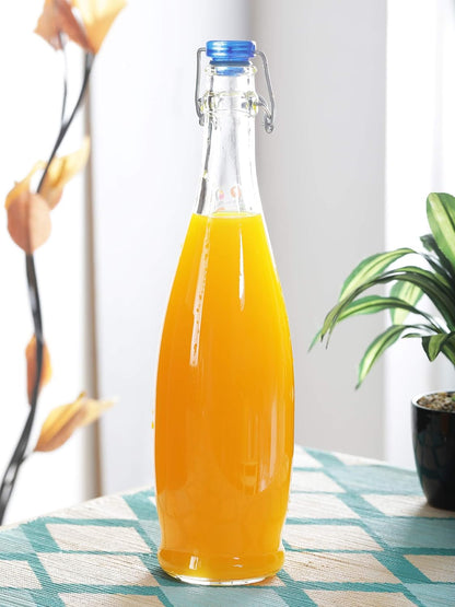 1L INDRO WATER BOTTLE TRANSLUCENT CAP - BORGONOVO # 13150015