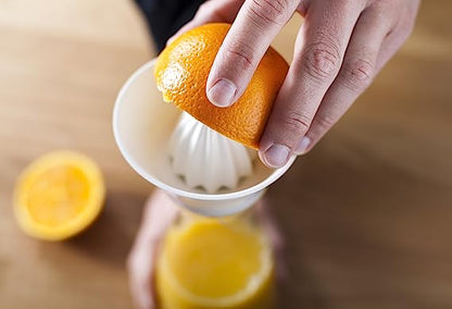 CITRUS CARAFE JUICER & SQUEEZER - VACU VIN #4760260
