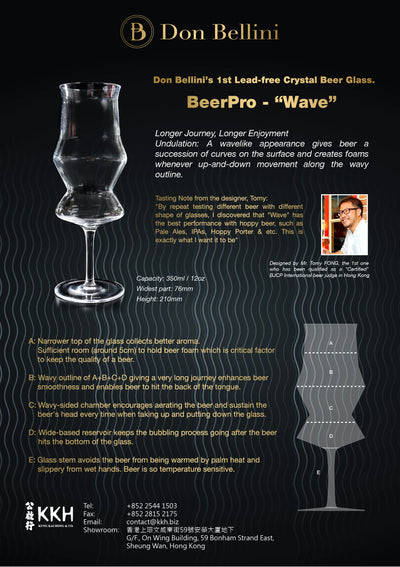 BEERPRO 350ML CRAFT BEER GLASS - WAVE