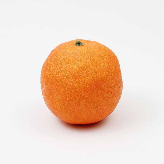 DISPLAY FRUIT - ORANGE - ASSORTED - EFAY # 560101
