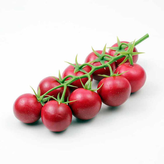 DISPLAY VEGETABLE - TOMATO - S - ASSORTED - EFAY # 560104