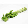 DISPLAY VEGETABLE - CELERY - ASSORTED - EFAY # 560203