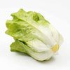 DISPLAY VEGETABLE - ROMAINE - ASSORTED - EFAY # 560205