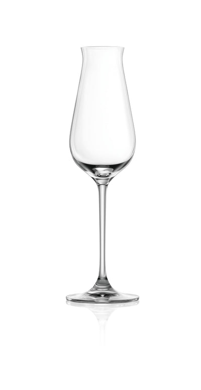DESIRE SPARKLING WINE GLASS - 240ML (6 pieces)